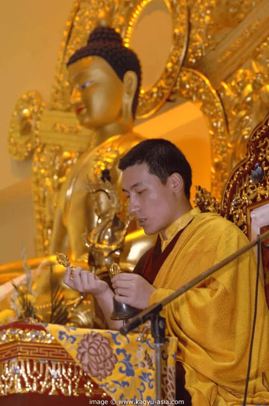 17th Karmapa, Trinley Thaye Dorje