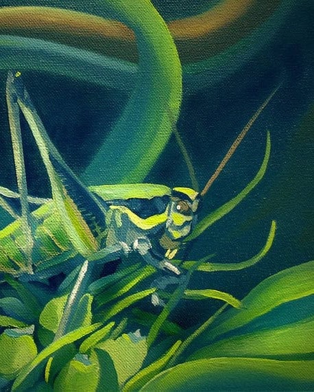 Mister Grasshopper - Nancy Griswold